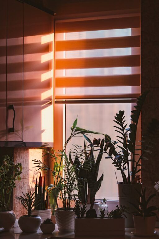 How to Start a Small Herb Garden Indoors: A Simple Guide